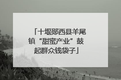 十堰郧西县羊尾镇“甜蜜产业”鼓起群众钱袋子