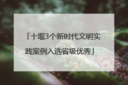 十堰3个新时代文明实践案例入选省级优秀