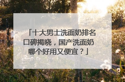十大男士洗面奶排名口碑揭晓，国产洗面奶哪个好用又便宜？