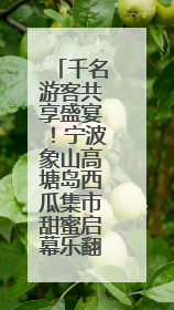 千名游客共享盛宴！宁波象山高塘岛西瓜集市甜蜜启幕乐翻天