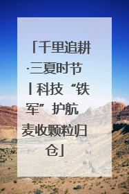 千里追耕·三夏时节丨科技“铁军”护航 麦收颗粒归仓