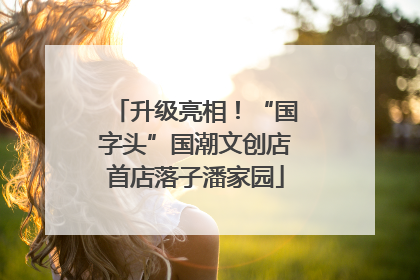 升级亮相！“国字头”国潮文创店首店落子潘家园