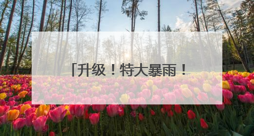 升级！特大暴雨！骤降10℃！河南这场降雨将持续数日，最大雨量或破300毫米极端纪录
