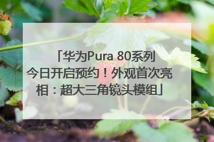华为Pura 80系列今日开启预约！外观首次亮相：超大三角镜头模组