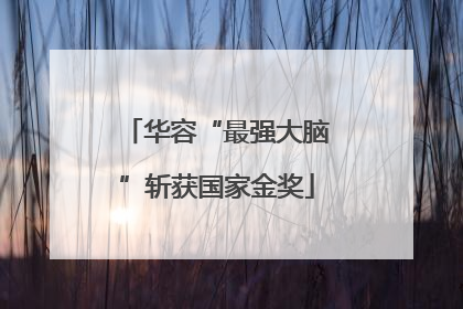 华容“最强大脑”斩获国家金奖