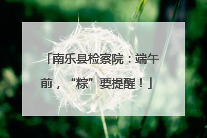 南乐县检察院：端午前，“粽”要提醒！