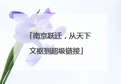 南京跃迁，从天下文枢到超级链接