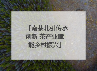 南茶北引传承创新 茶产业赋能乡村振兴