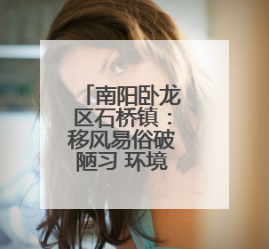 南阳卧龙区石桥镇：移风易俗破陋习 环境整治绘就乡村新图景