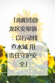 南阳市卧龙区安皋镇：以行动排查水域 用责任守护安全