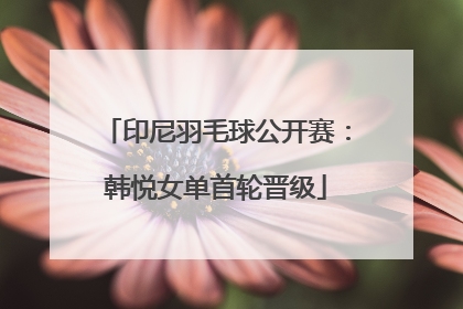 印尼羽毛球公开赛：韩悦女单首轮晋级