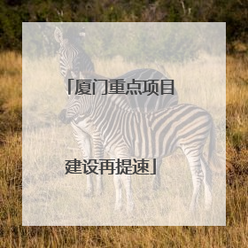 厦门重点项目建设再提速