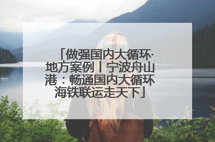做强国内大循环·地方案例丨宁波舟山港：畅通国内大循环海铁联运走天下
