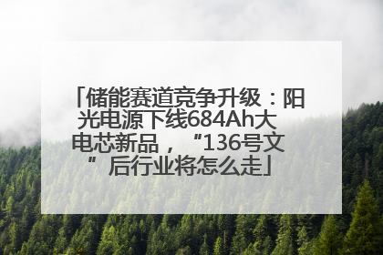 储能赛道竞争升级：阳光电源下线684Ah大电芯新品，“136号文”后行业将怎么走
