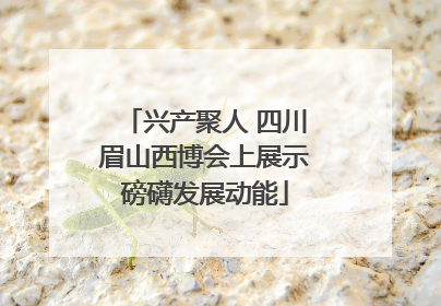 兴产聚人 四川眉山西博会上展示磅礴发展动能