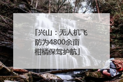 兴山：无人机飞防为4800余亩柑橘保驾护航