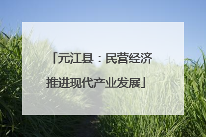 元江县：民营经济推进现代产业发展