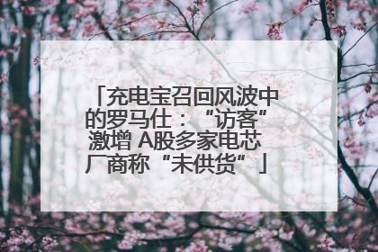 充电宝召回风波中的罗马仕：“访客”激增 A股多家电芯厂商称“未供货”