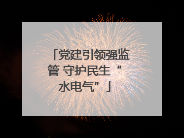 党建引领强监管 守护民生“水电气”