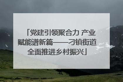 党建引领聚合力 产业赋能谱新篇——刁镇街道全面推进乡村振兴