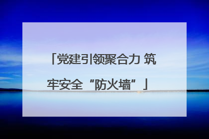 党建引领聚合力 筑牢安全“防火墙”