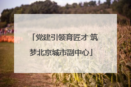 党建引领育匠才 筑梦北京城市副中心
