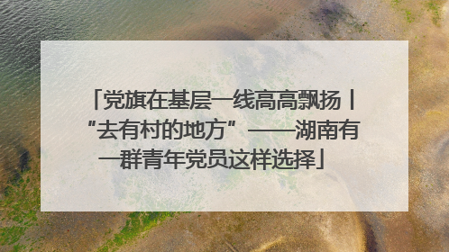 党旗在基层一线高高飘扬丨“去有村的地方”——湖南有一群青年党员这样选择