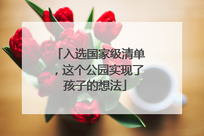 入选国家级清单，这个公园实现了孩子的想法