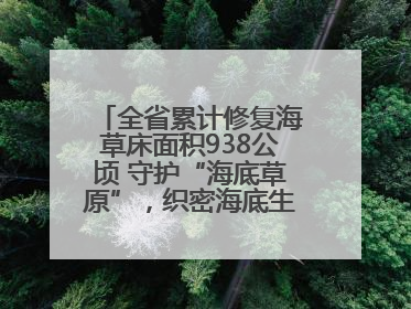 全省累计修复海草床面积938公顷 守护“海底草原”，织密海底生态“一张网”