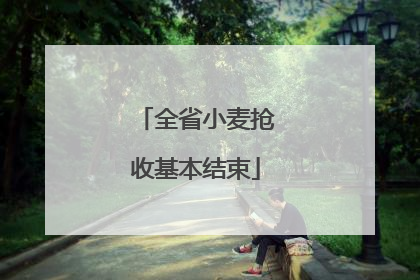 全省小麦抢收基本结束