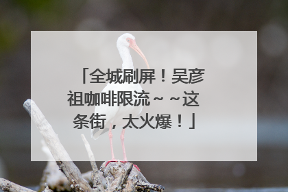 全城刷屏！吴彦祖咖啡限流～～这条街，太火爆！