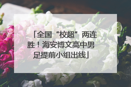 全国“校超”两连胜！海安博文高中男足提前小组出线