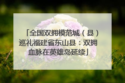 全国双拥模范城（县）巡礼福建省东山县：双拥血脉在英雄岛延续