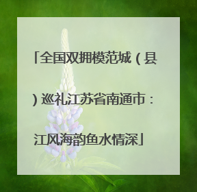 全国双拥模范城（县）巡礼江苏省南通市：江风海韵鱼水情深