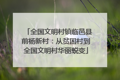 全国文明村镇临邑县前杨新村：从贫困村到全国文明村华丽蜕变