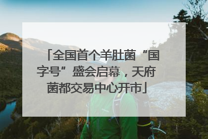 全国首个羊肚菌“国字号”盛会启幕，天府菌都交易中心开市