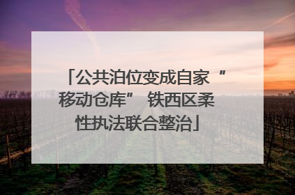 公共泊位变成自家“移动仓库” 铁西区柔性执法联合整治