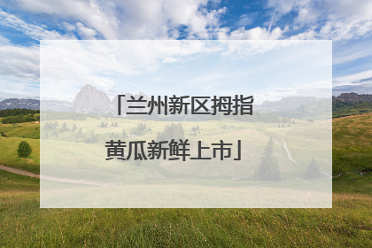 兰州新区拇指黄瓜新鲜上市