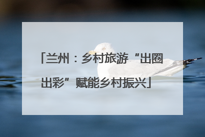 兰州：乡村旅游“出圈出彩”赋能乡村振兴