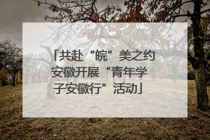 共赴“皖”美之约 安徽开展“青年学子安徽行”活动