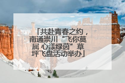 共赴青春之约，南通崇川“飞你莫属 心漾绿茵”草坪飞盘活动举办