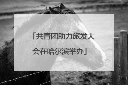 共青团助力旅发大会在哈尔滨举办