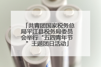 共青团国家税务总局平江县税务局委员会举行“五四青年节”主题团日活动