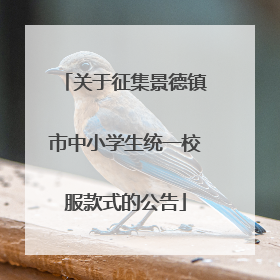 关于征集景德镇市中小学生统一校服款式的公告