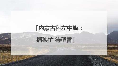 内蒙古科左中旗：插秧忙 待稻香