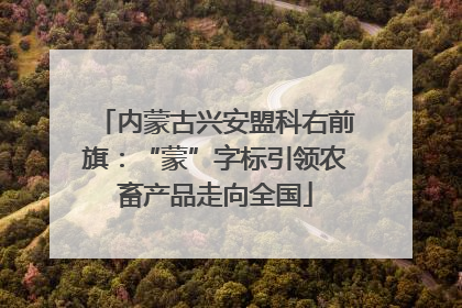 内蒙古兴安盟科右前旗：“蒙”字标引领农畜产品走向全国