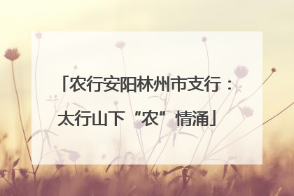 农行安阳林州市支行：太行山下“农”情涌