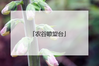 农谷瞭望台