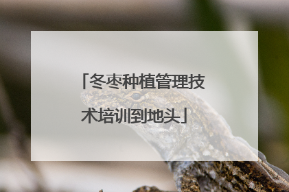 冬枣种植管理技术培训到地头