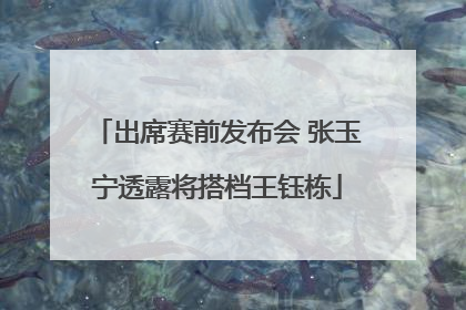出席赛前发布会 张玉宁透露将搭档王钰栋